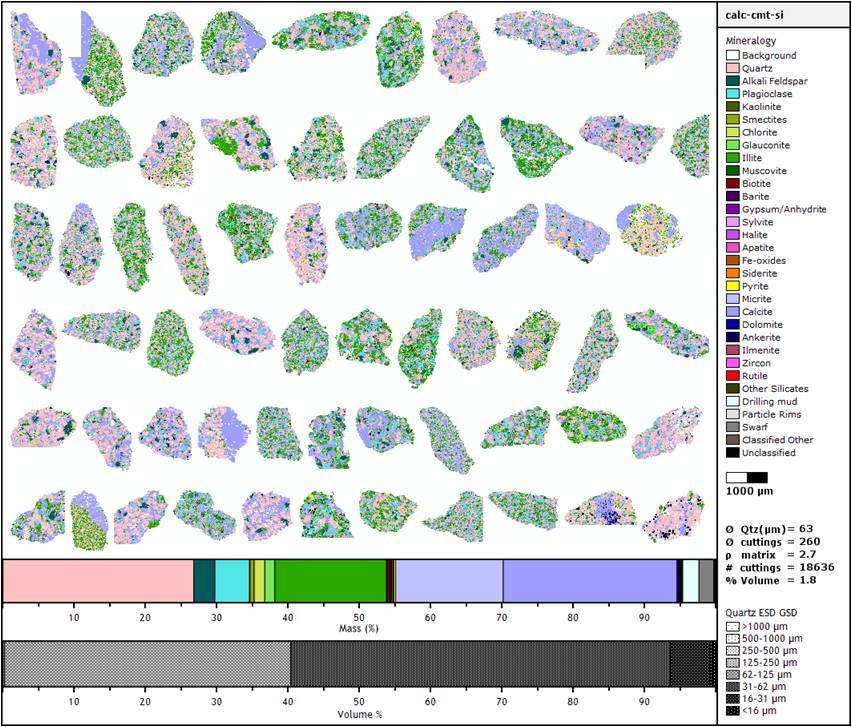 QEMSCAN WellSite Analysis
