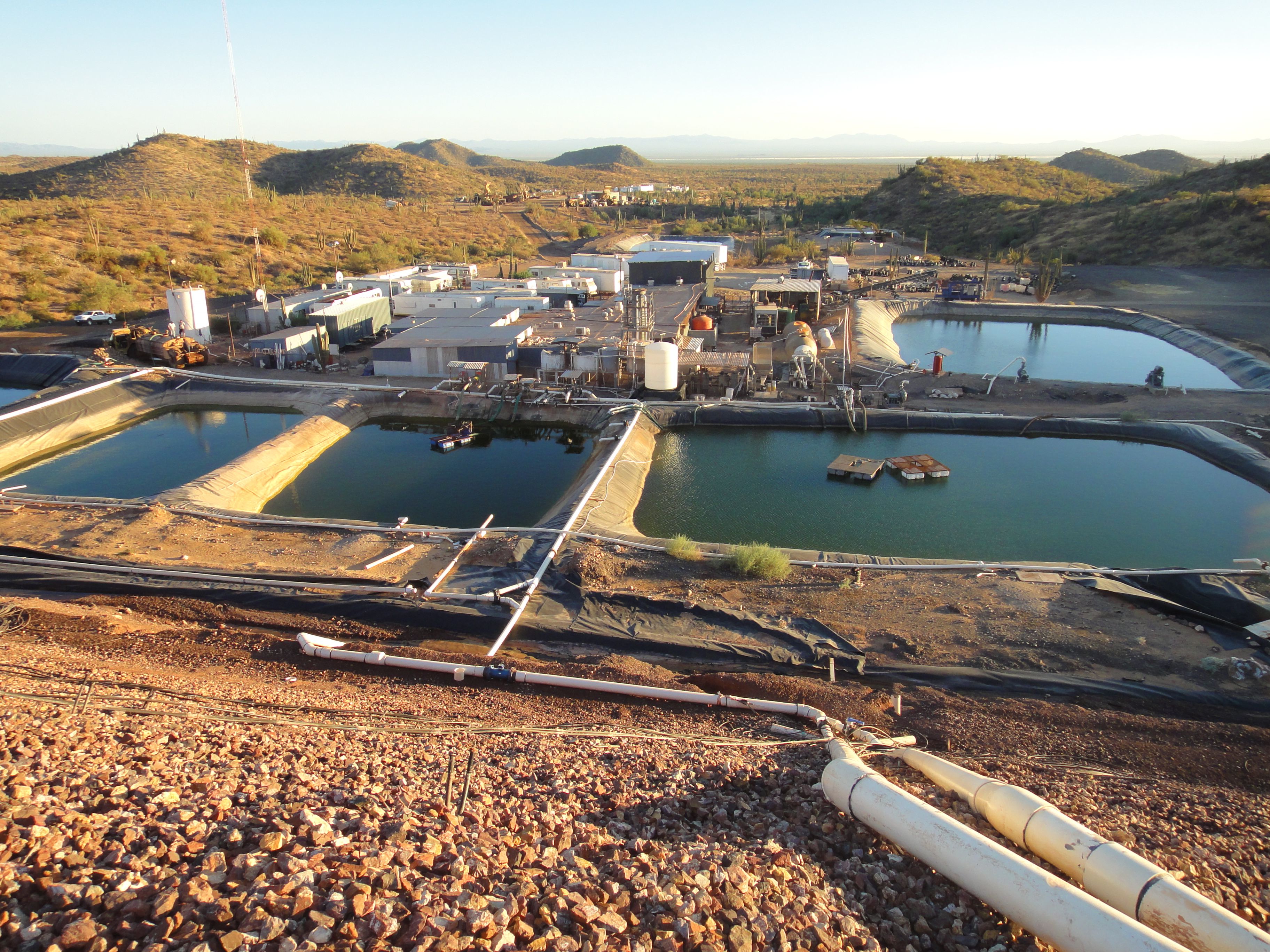 Mexus/Trinidad Joint Venture