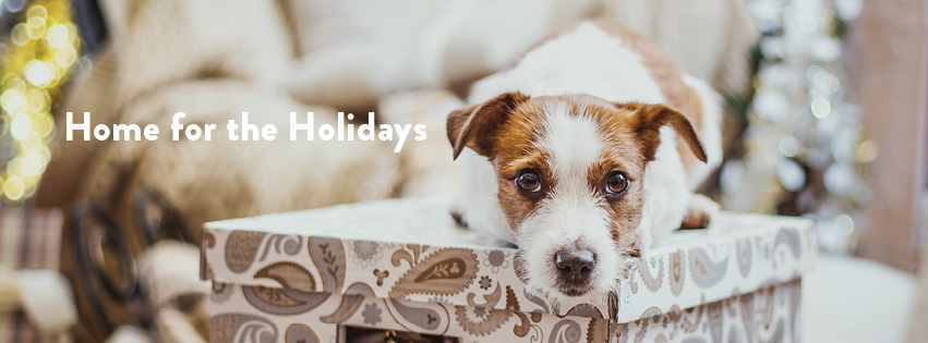 Home for the Holidays
