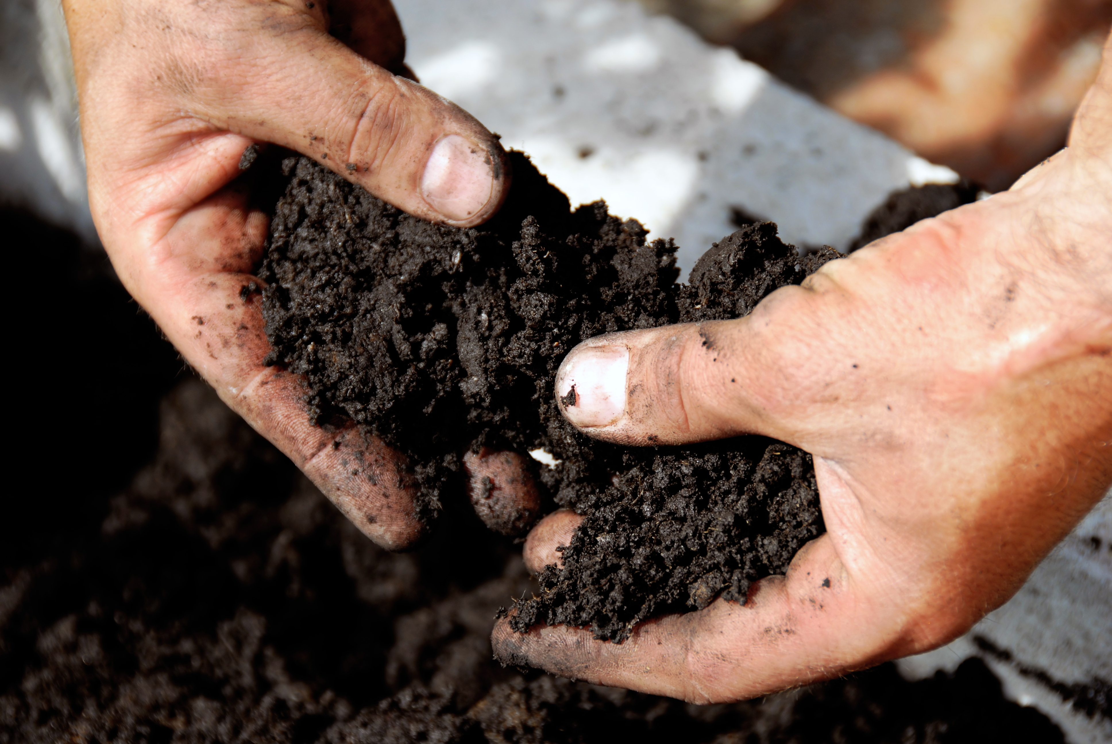 Hands in biosolids