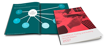 2017-annual-compliance-auditing-report-lander-image