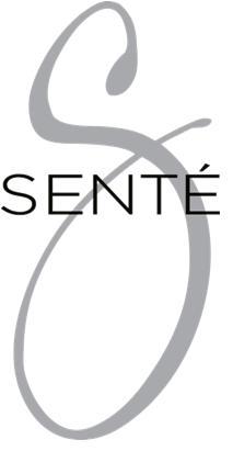 Sente, Inc. Logo