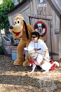 Pluto "Magical Moment" at Paws in the Park.