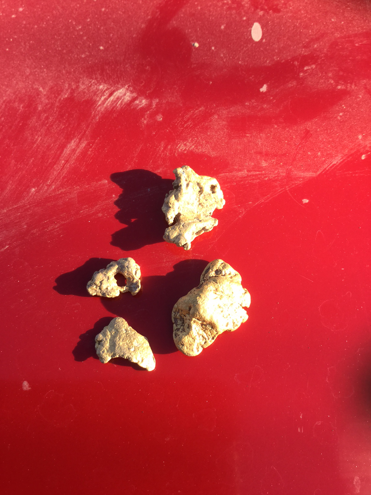 Placer Plant Nuggets