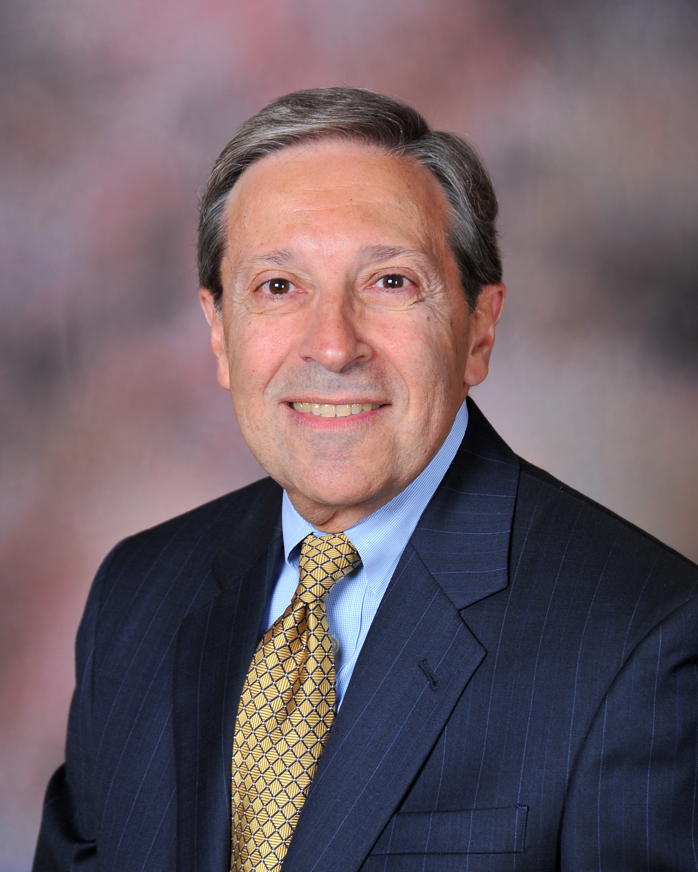 Guy A. Sava, Diversified Search Managing Partner 