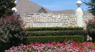 Candle Meadow 2015
