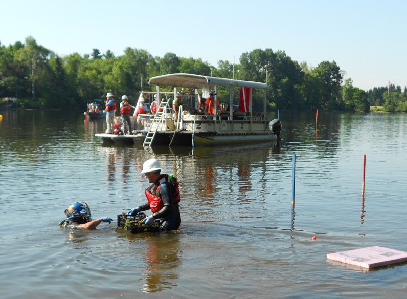 Louis Berger provides oversight of aquatic plant installation for the U.S. Envir
