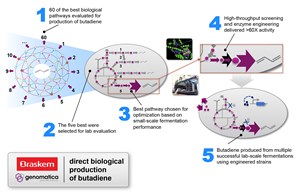 Braskem and Genomatica: direct biological production of butadiene at lab scale