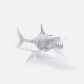 shark-1