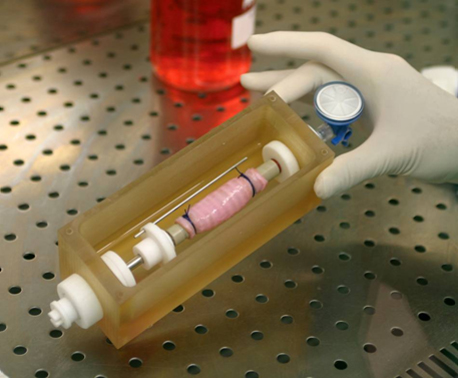"In Breath" Bioreactor
