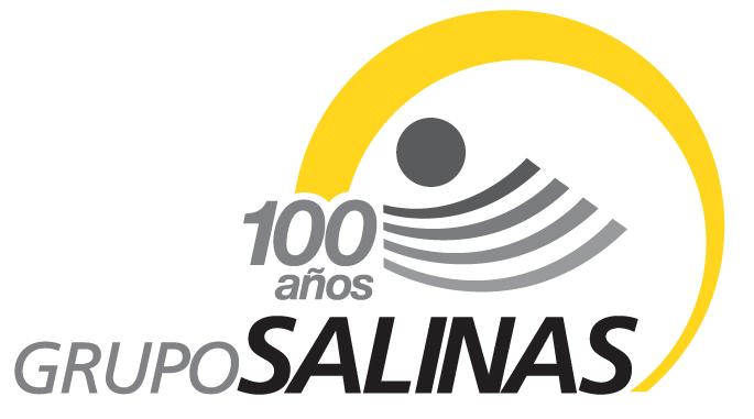 Grupo Salinas logo