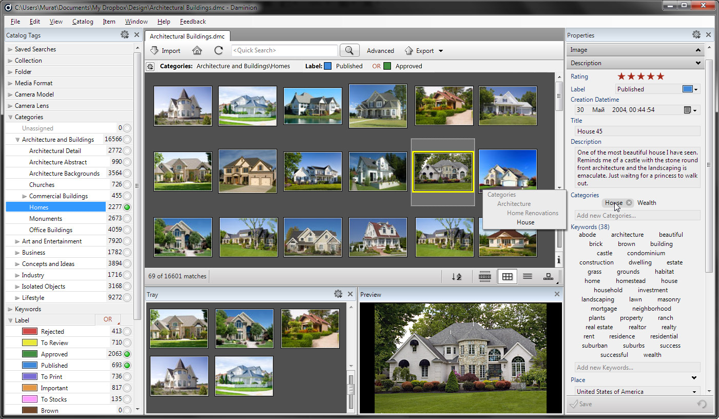 Daminion Main Workspace