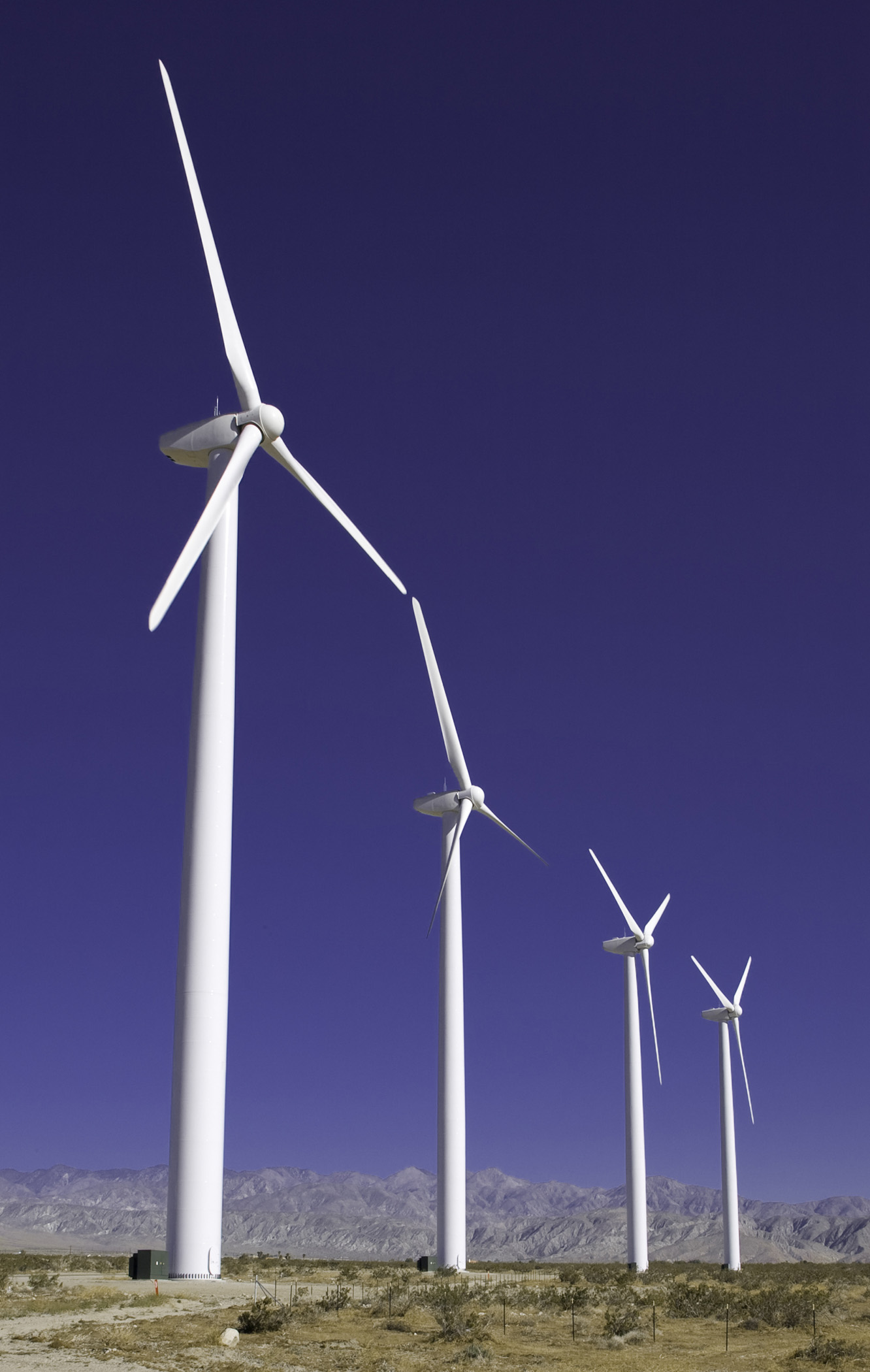 IR-Palm-Springs-1173