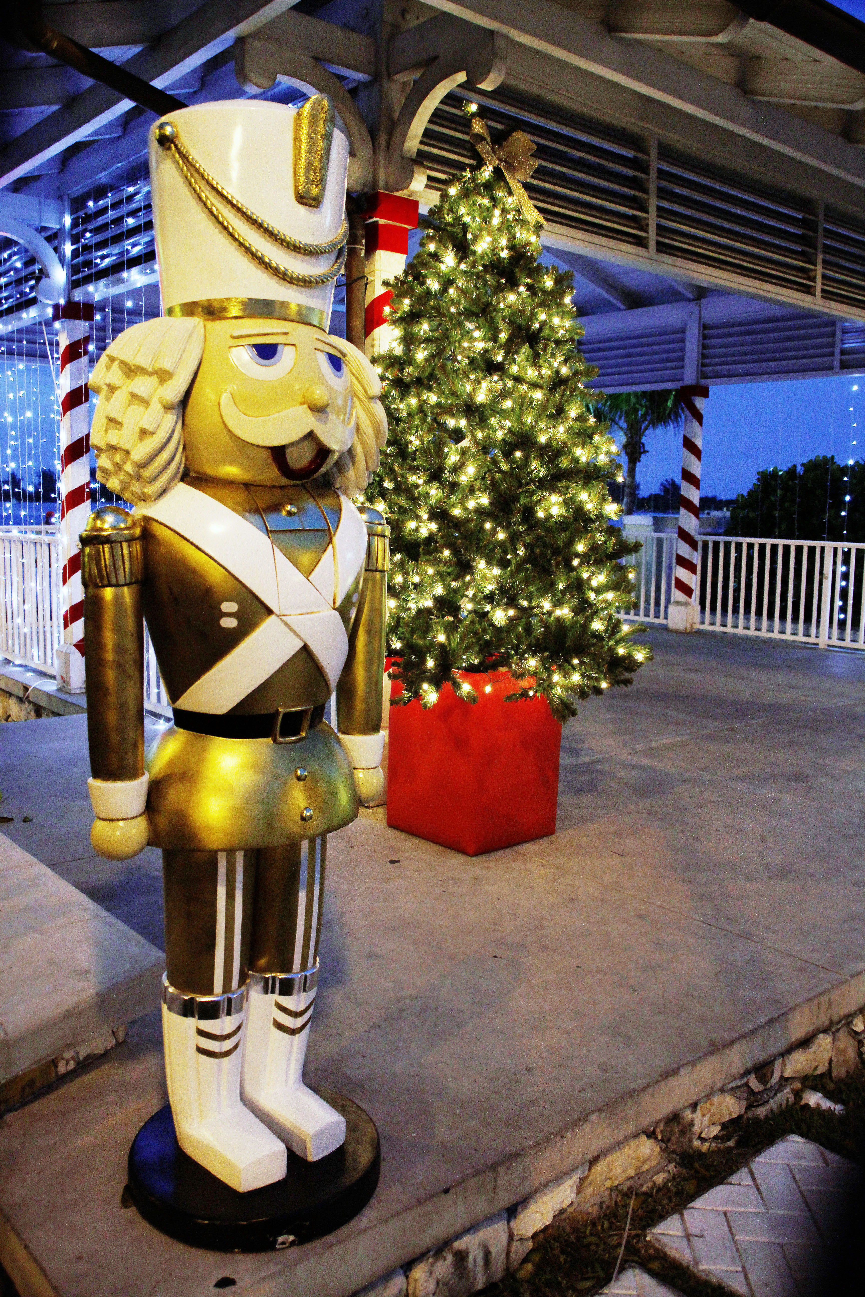 Christmas in pompey Square Dec 2, 2015.