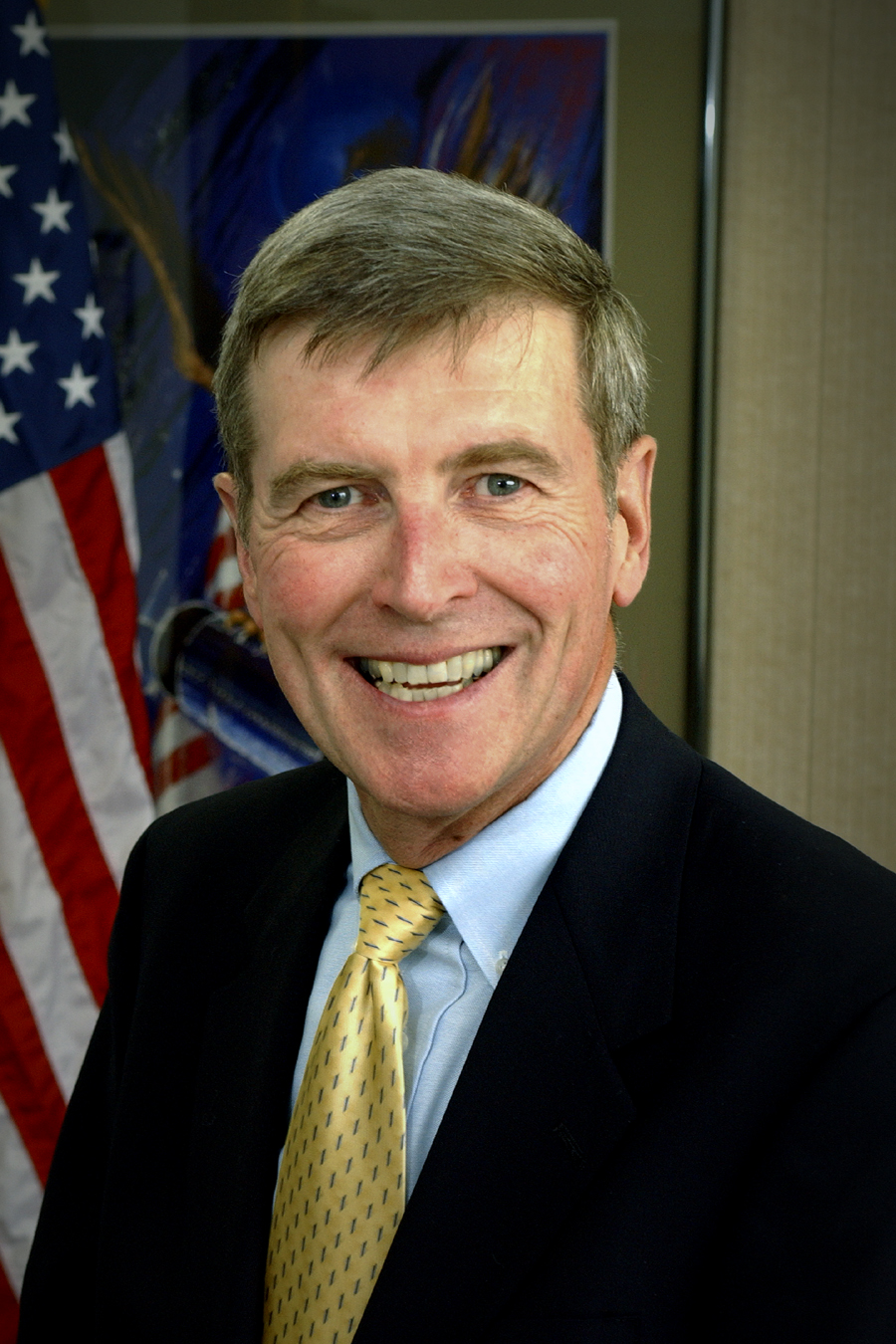 Timothy J. McMahon Vice President, Strategic Systems
