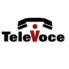 TeleVoce SEO Logo