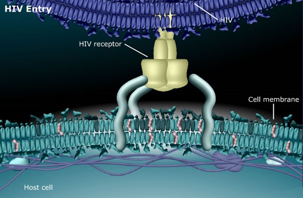 HIV Entry Inhibitor Drug SP-01A