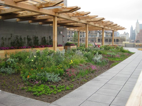 Sustainable Green Roof at 250 Hudson Street