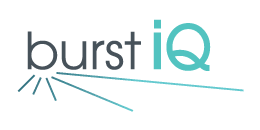 Image result for burstIQ logo
