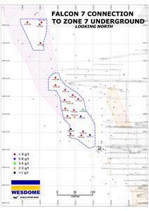 july2020Figure 2 - Detailed Longitudinal section of Falcon-7 Zone