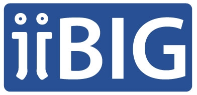 iiBIG logo