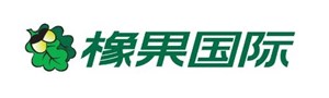 Acorn International, Inc. Logo