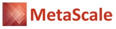 MetaScale Logo