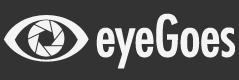 eyeGoes logo