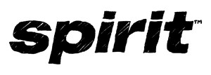 Spirit tm logo