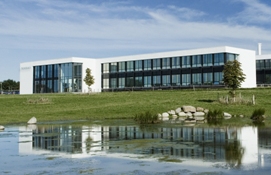 NeuroSearch, building