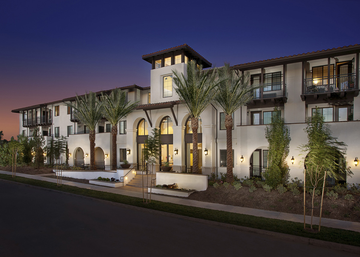 Dana Strand_Night_sm