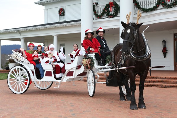 Santa Arrives at BabyLand Reindeer-&-Carriage