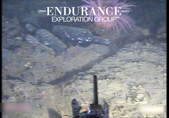 Whiskey Bottles on Seafloor