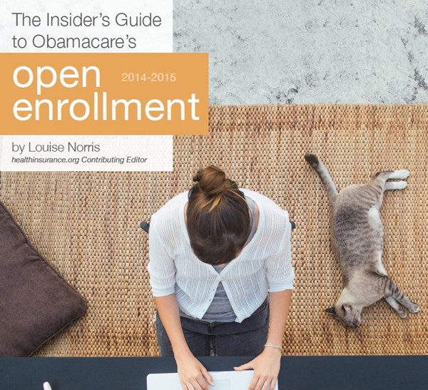 healthinsurance.org_logo_155