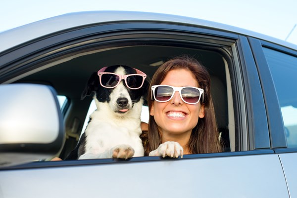 Certified Pre-Owned Pets on Sale Memorial Day