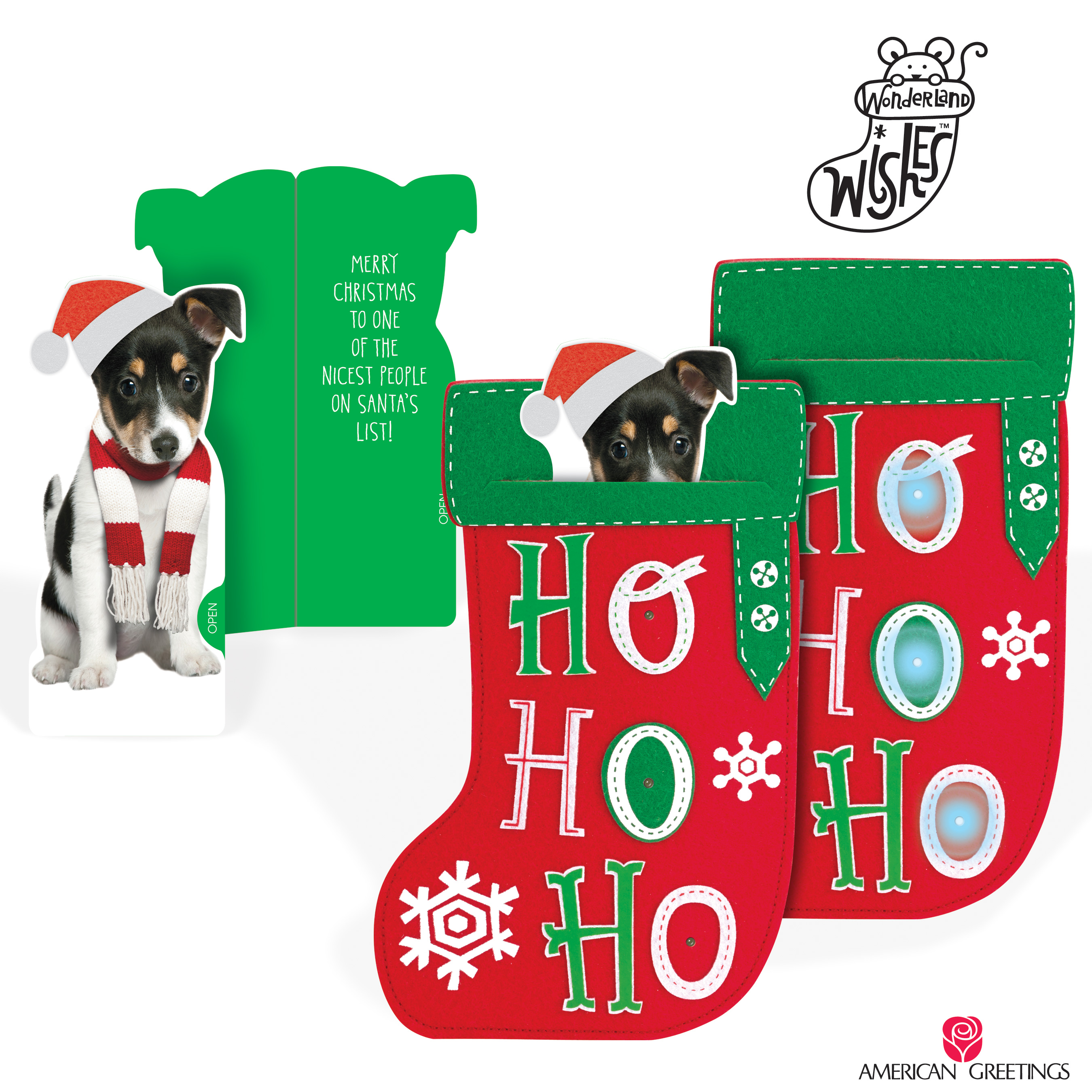 wonderland_wishes_array