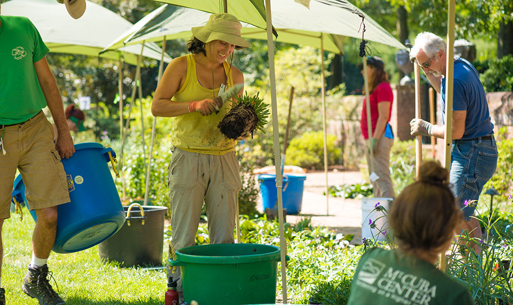 Eco Friendly Gardening