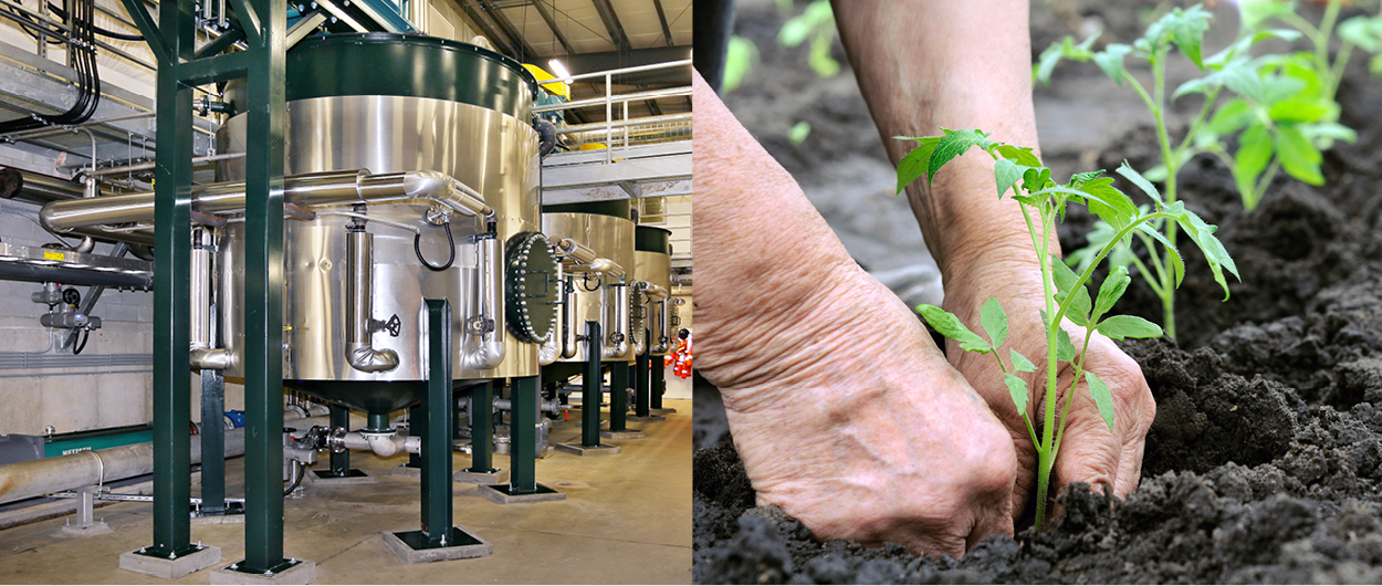 Lystek Reactors and Planting Photo