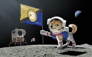 Leading Sports Brand Wooter Apparel Begins Accepting Dogecoin