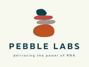 Pebble Labs Inc. joi