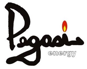 Pegasi Energy Resources Corporation Logo