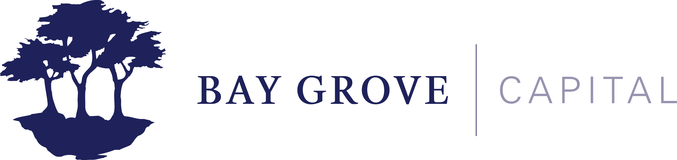 Bay Grove Capital Group LLC Logo