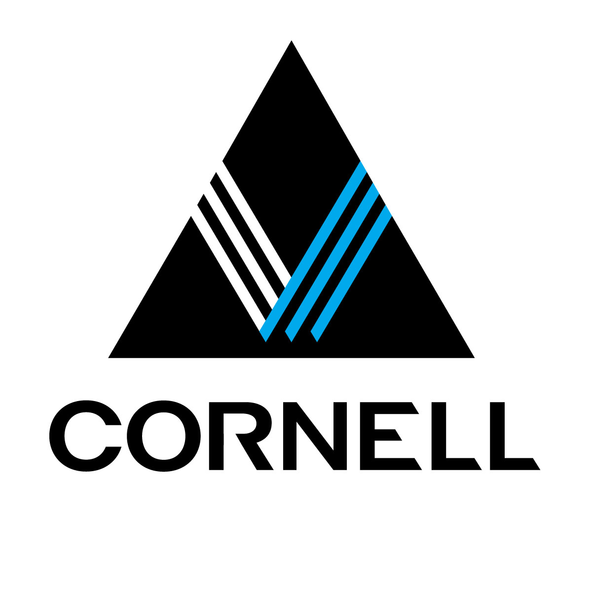 Cornell Companies, Inc.