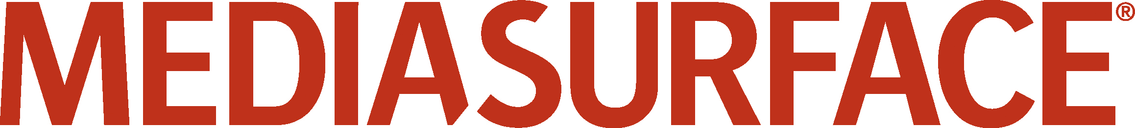 Mediasurface Logo