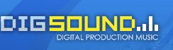 Digsound Inc. Logo