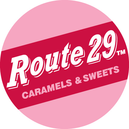 Route 29 Logo