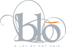 Blo Logo