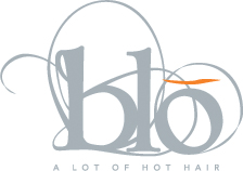 Blo Logo