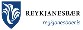 Fjárhagsáætlun Reykj