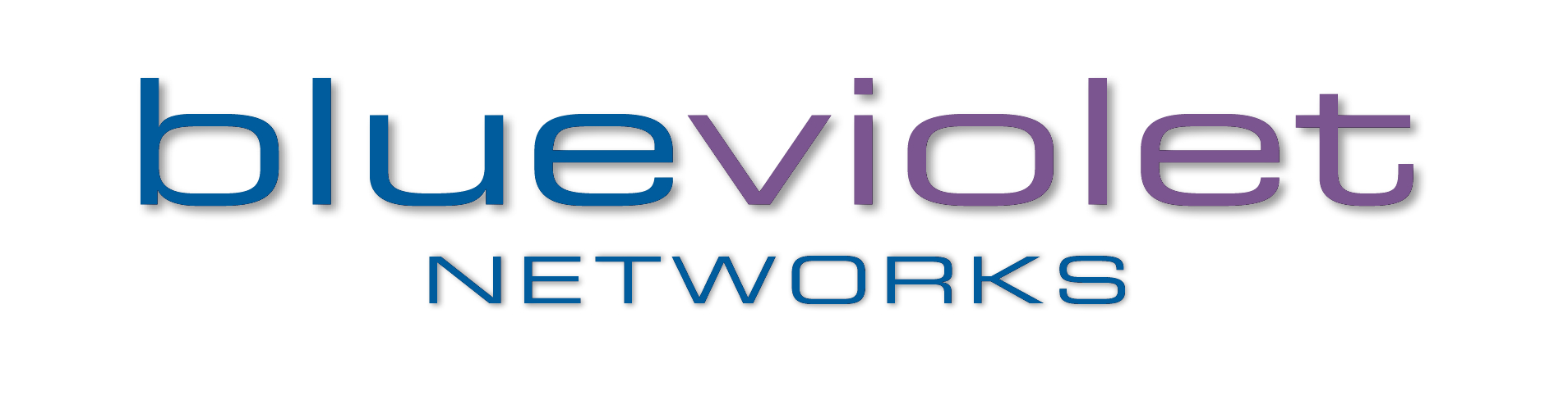 Blue Violet Networks Logo